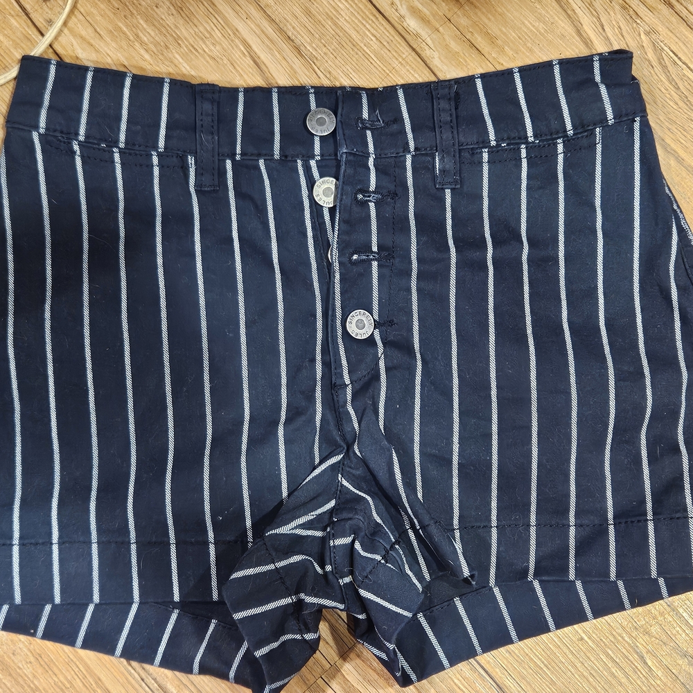 Sincerely Jules Blue High Waist Shorts